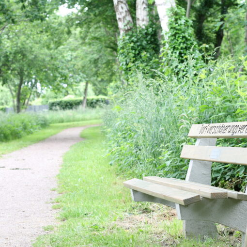 Bank im BiotopGroßenwiehe