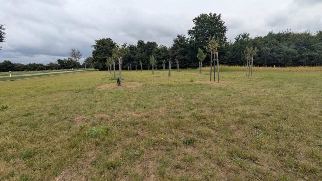 Blühwiese FFW Großenwiehe