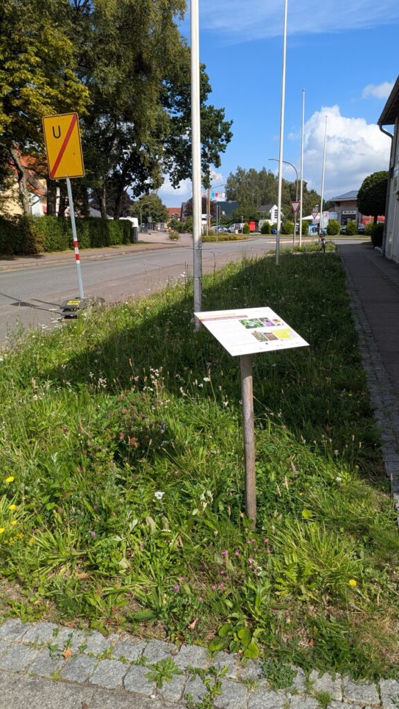 Blühwiese Sponsorenschild