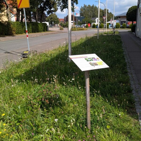 Blühwiese Sponsorenschild