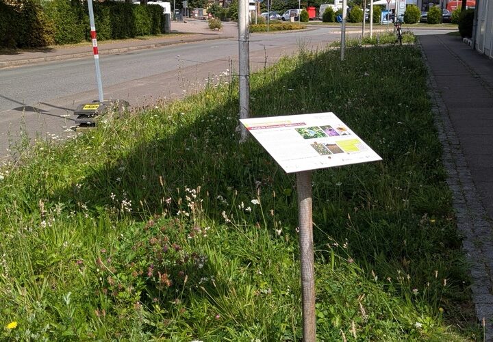 Blühwiese Sponsorenschild