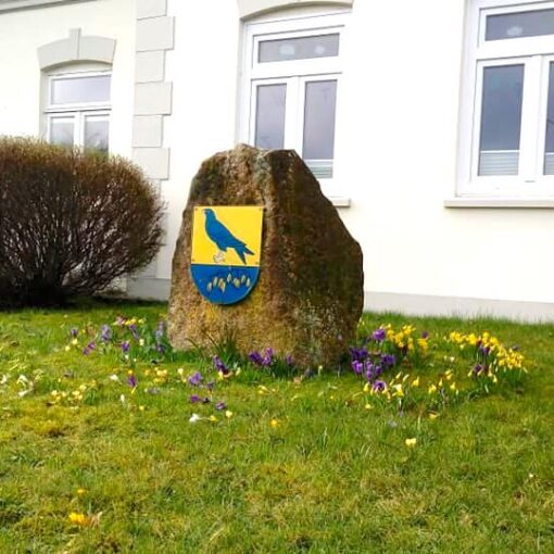 Frühlingsblumen 2020