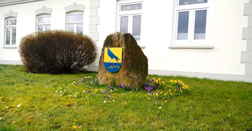 Frühlingsblumen 2020