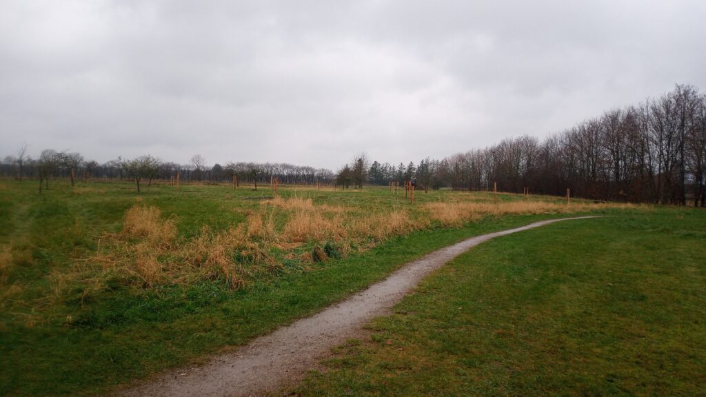 Bäume pflanzen in Großenwiehe